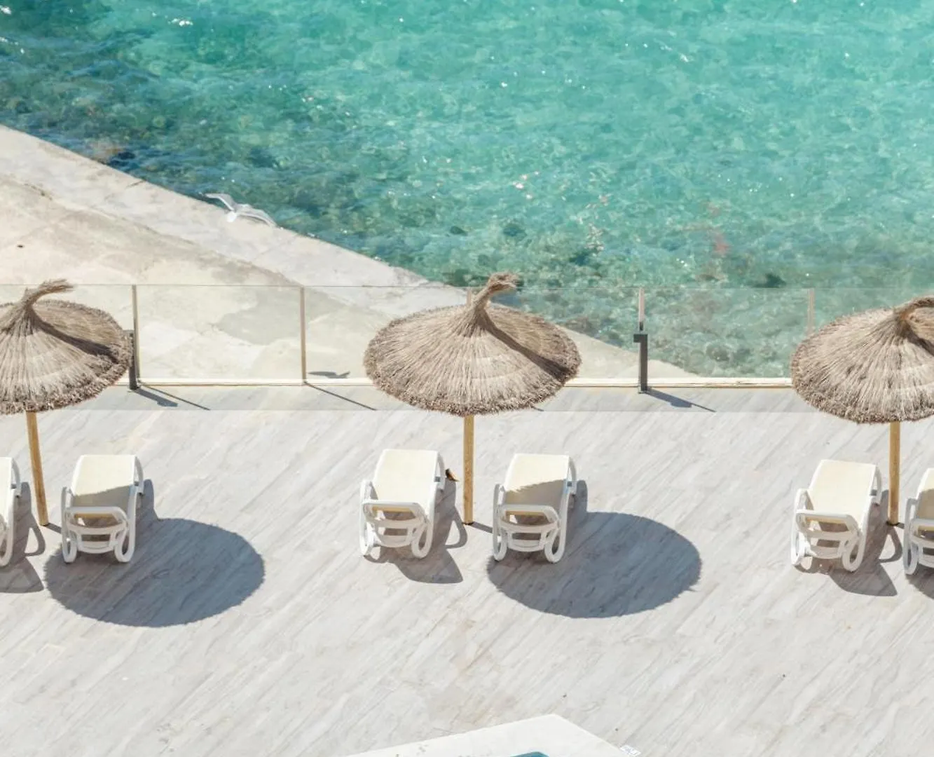 Bahia Principe Sunlight Coral Playa - Adults Only Hotel Magaluf  4*, Magaluf (Mallorca) Spain